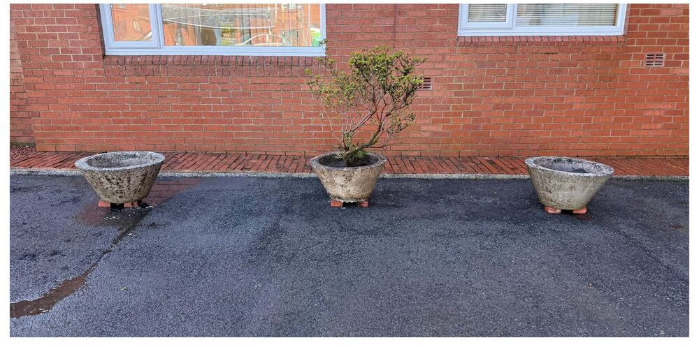 Clean tarmac forecourt and planters after washing