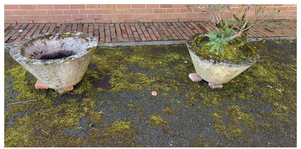 Mossy commercial forecourt and weathered planters before cleaning