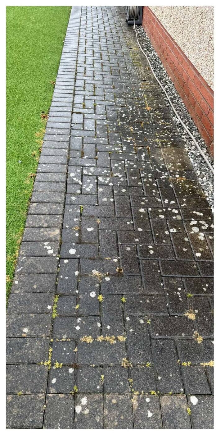 Lichen-spotted block paving path before cleaning