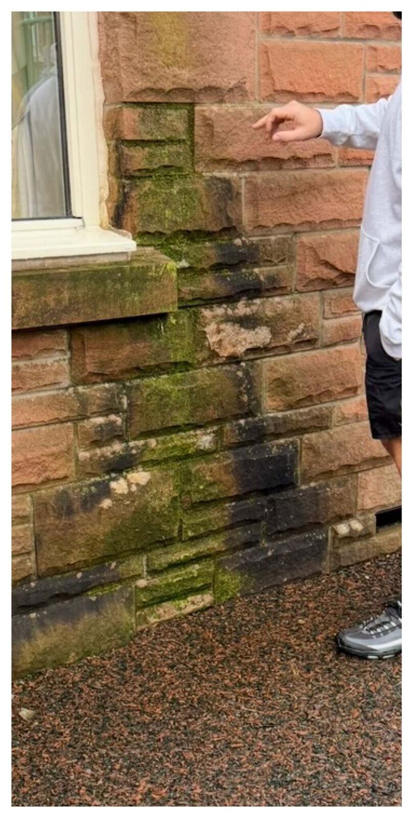 Red sandstone wall covered in green algae before soft washing