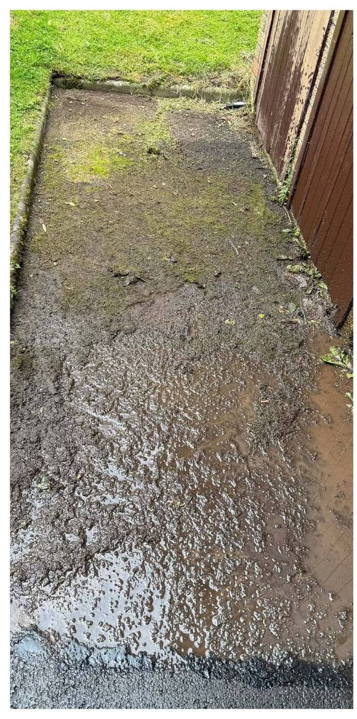 Tarmac driveway covered in moss before cleaning